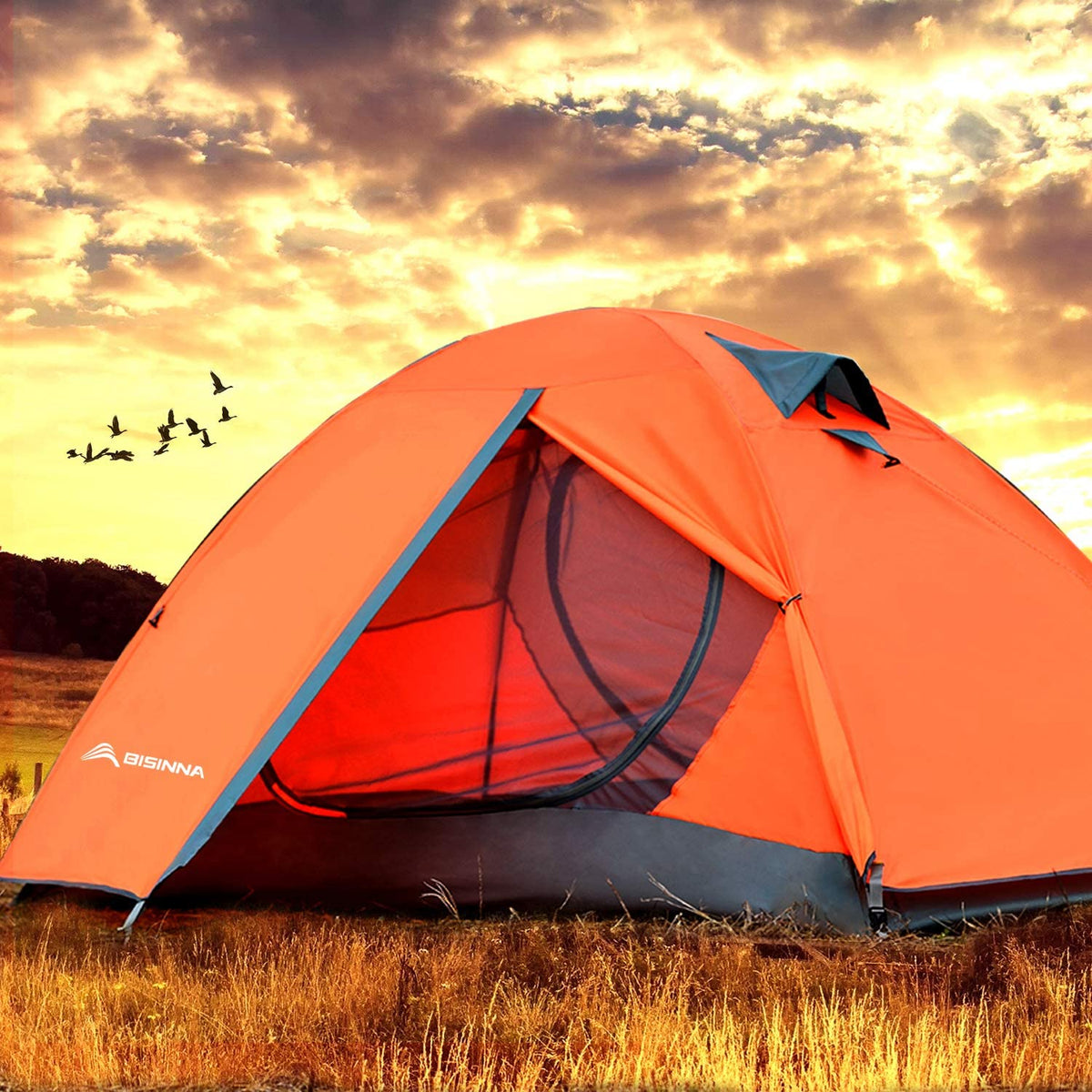 2/4 Person Camping Tent Lightweight Waterproof Backpacking Tent